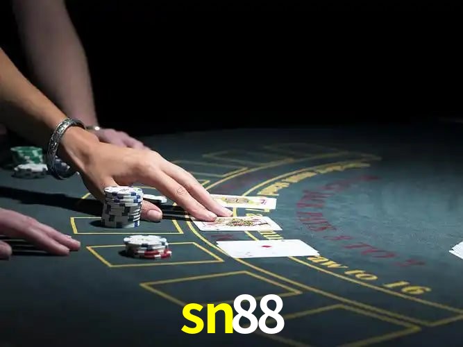 sn88 Segurança Logo 3